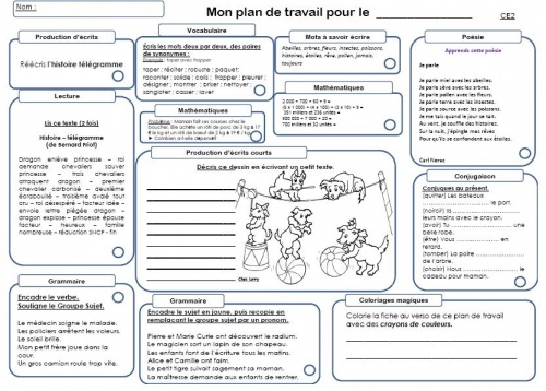 Plan de travail cm1 2016